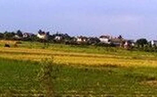 Chuyển mục đích sử dụng đất tại Thái Bình