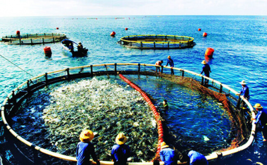 Tăng cường quản lý việc thuê đất, thuê mặt nước nuôi trồng thủy sản