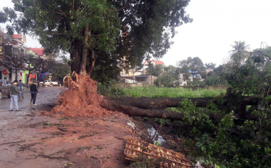 Giông lốc tàn phá hàng trăm ngôi nhà tại Tuyên Quang và Thái Nguyên