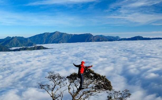Đỉnh Tà Xùa nơi “Thiên đường ở chốn trần gian”