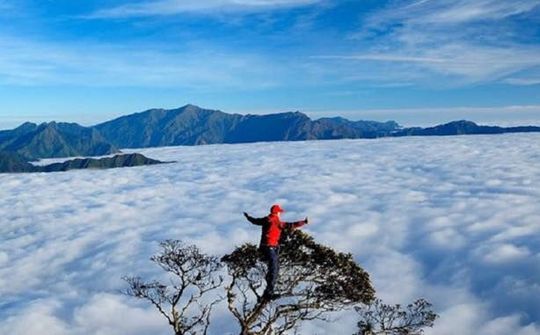 Đỉnh Tà Xùa nơi “Thiên đường ở chốn trần gian”