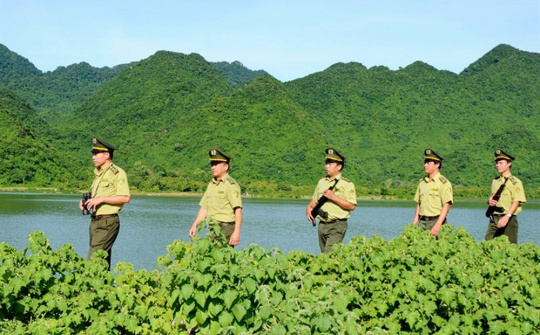 Ban hành 15 văn bản QPPL trong tháng 01/2019