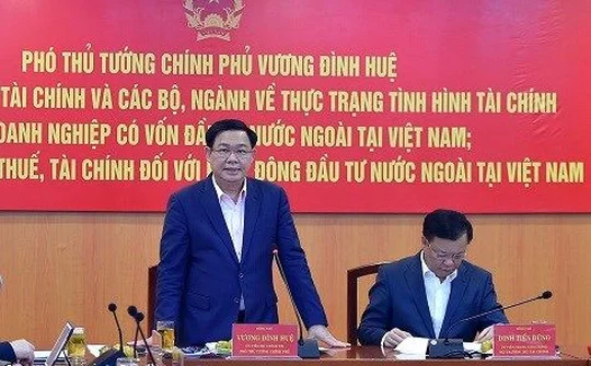 Việt Nam cần có cơ chế kiểm soát doanh nghiệp FDI