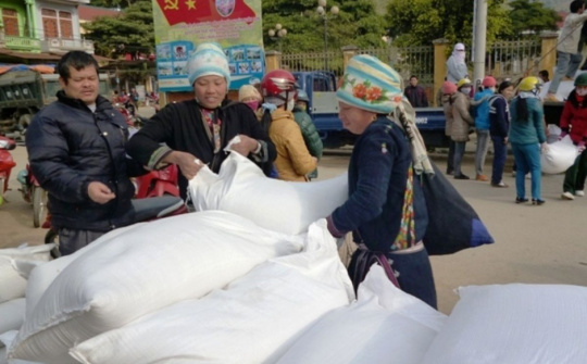 Trên nửa triệu người nghèo nhận gạo hỗ trợ ăn Tết