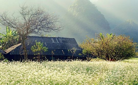 Tết này đi phượt đâu ở Tây Bắc?