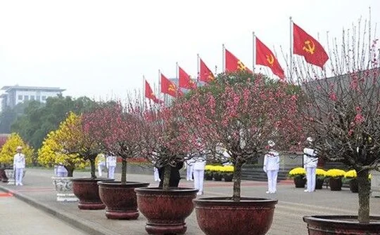 Đảng ta