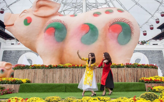 Rộn ràng trời xuân ở lễ hội 'Heo vàng gõ cửa' tại Sun World Danang Wonders