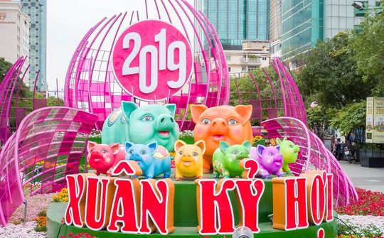 Đàm Vĩnh Hưng buồn và chạnh lòng vì đường hoa Nguyễn Huệ 'cạn ý tưởng'