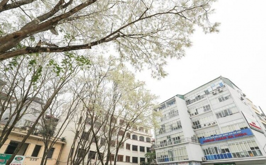 ĐH QGHN có 3 nhóm ngành được xếp hạng QS thế giới