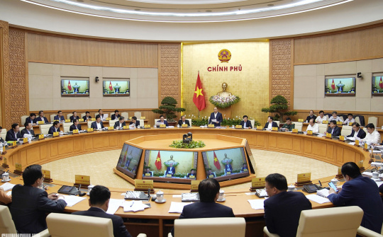 ‘Đủ nắng thì hoa sẽ nở’