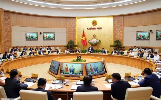 ‘Đủ nắng thì hoa sẽ nở’
