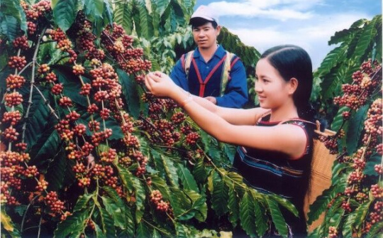 Lễ hội Cafe Buôn Ma Thuột 2019: Tinh hoa đại ngàn