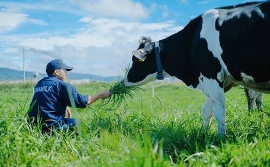 Vinamilk - thành công đến từ tầm nhìn chiến lược