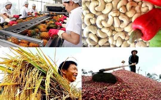 Tìm thấy cơ hội xuất khẩu nông sản của Việt Nam tại BRIFE 2019