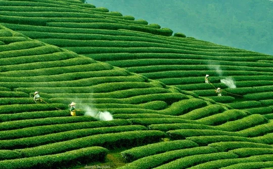 Liên kết phát triển du lịch 8 tỉnh Tây Bắc mở rộng