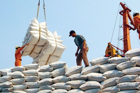 30 năm hạt gạo Việt trở lại thị trường thế giới