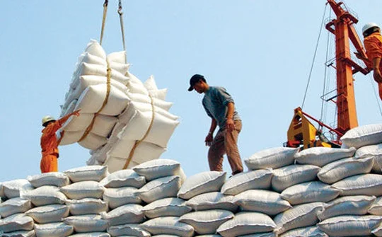 30 năm hạt gạo Việt trở lại thị trường thế giới