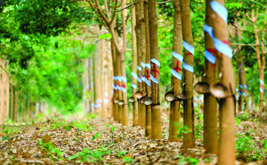 Đầu tư ra nước ngoài trong quý I của Việt Nam đạt 120 triệu USD