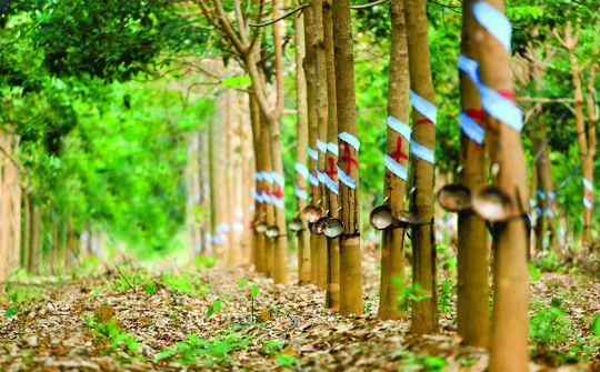Đầu tư ra nước ngoài trong quý I của Việt Nam đạt 120 triệu USD