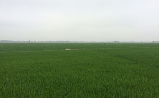 Phát huy vị thế, vai trò của nông dân Hoằng Thắng  trong phát triển nông nghiệp hiện đại