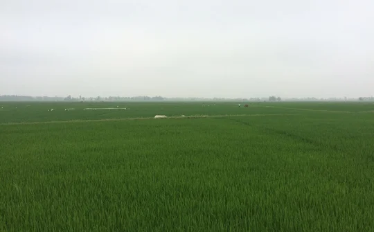 Phát huy vị thế, vai trò của nông dân Hoằng Thắng trong phát triển nông nghiệp hiện đại