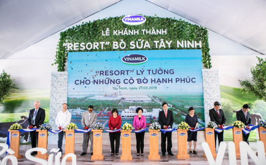 "Resort" bò sữa Vinamik Tây Ninh - Ngôi nhà lý tưởng của những "cô bò" hạnh phúc