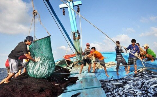 Ngành Thủy sản Nghệ An:  60 năm - Tự hào một hành trình phát triển