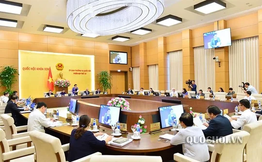 Luật Đặc khu sẽ là luật chung?