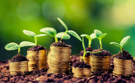 Kinh tế phi chính thức ở Việt Nam: Thực trạng và giải pháp