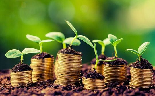 Kinh tế phi chính thức ở Việt Nam: Thực trạng và giải pháp