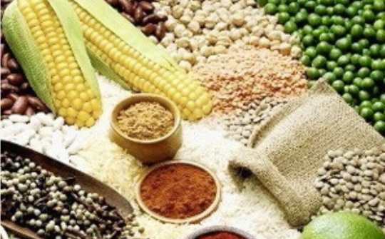 Áp lực từ an ninh lương thực