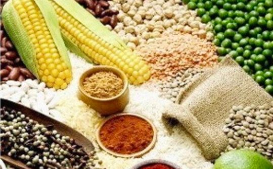 Áp lực từ an ninh lương thực