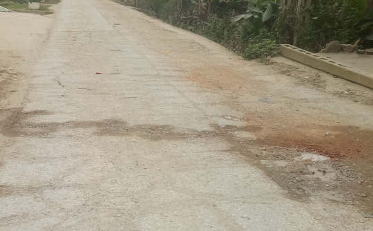 Thanh Hóa: Mặt đê Tả Lạch Trường xuống cấp nghiêm trọng