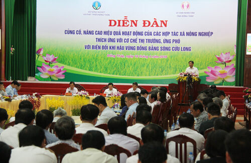 Tiếp tục nâng cao hiệu quả hoạt động các Hợp tác xã nông nghiệp