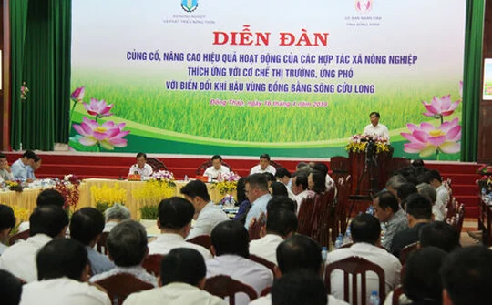 Tiếp tục nâng cao hiệu quả hoạt động các Hợp tác xã nông nghiệp