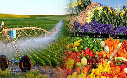 Vĩnh Phúc và Israel sẵn sàng hợp tác trên nhiều lĩnh vực