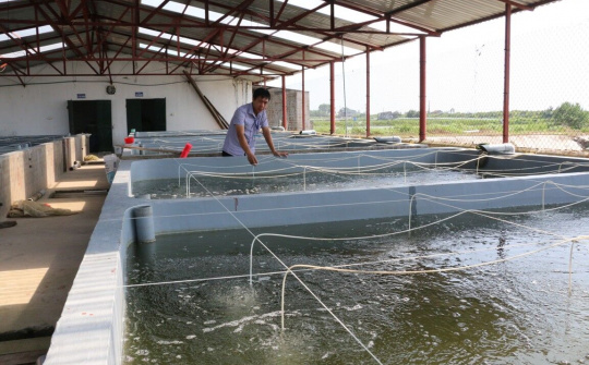 Huyện Đầm Hà (Quảng Ninh): Tập trung phát triển kinh tế thủy sản bền vững