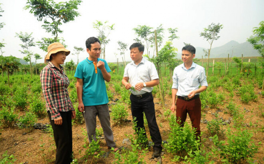 Biệt phái cán bộ trẻ về cơ sở: Hiệu quả bước đầu tại Tuyên Quang