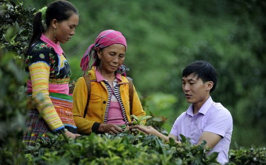 Đề án 500 trí thức trẻ - nhìn lại chặng đường đã qua