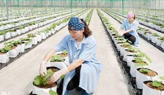 Năm 2020, nông nghiệp sẽ thiếu khoảng 3,2 triệu lao động qua đào tạo