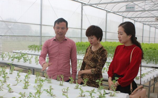 Trần Văn Tân – Thành công từ niềm đam mê với nông nghiệp sạch