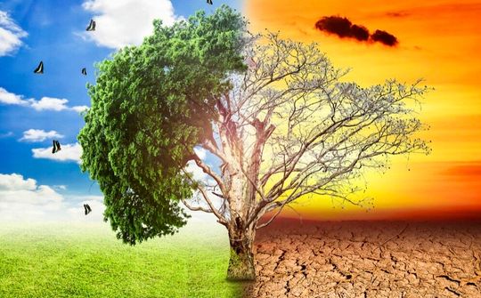 Chống biến đổi khí hậu - chưa quá muộn để hành động !