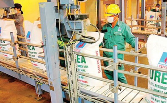 Đạm Phú Mỹ: Nợ xấu và nguy cơ thất thoát hàng trăm tỷ đồng