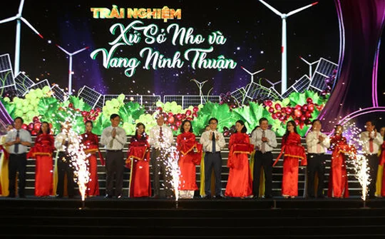 “Trải nghiệm xứ sở Nho và Vang Ninh Thuận”
