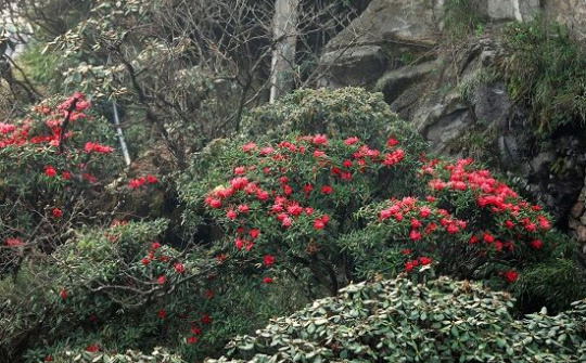 30/4 này, phải khám phá một Tây Bắc thật khác lạ