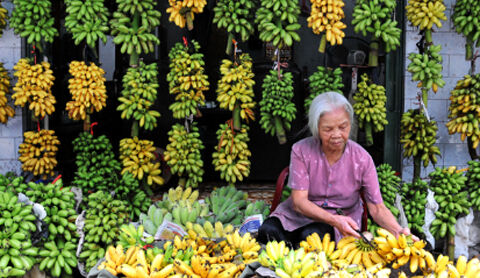 Thương hiệu nông sản không chỉ là cái logo