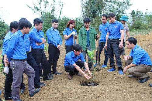 Hiệu quả từ mô hình CLB thanh niên giúp nhau phát triển kinh tế