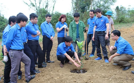 Hiệu quả từ mô hình CLB thanh niên giúp nhau phát triển kinh tế