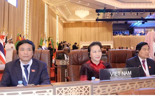 National Assembly Chairwoman concludes overseas working trip