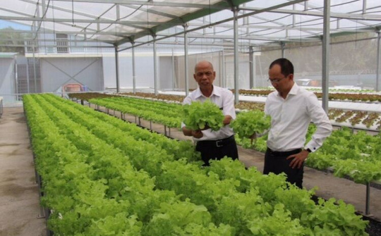 Diễn đàn Kinh tế Kiều bào toàn cầu lần thứ nhất: Kết nối mạng lưới doanh nhân Việt